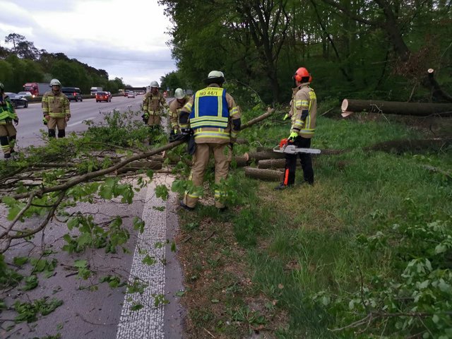 Foto: Julian Buchner/Einsatz-Report24