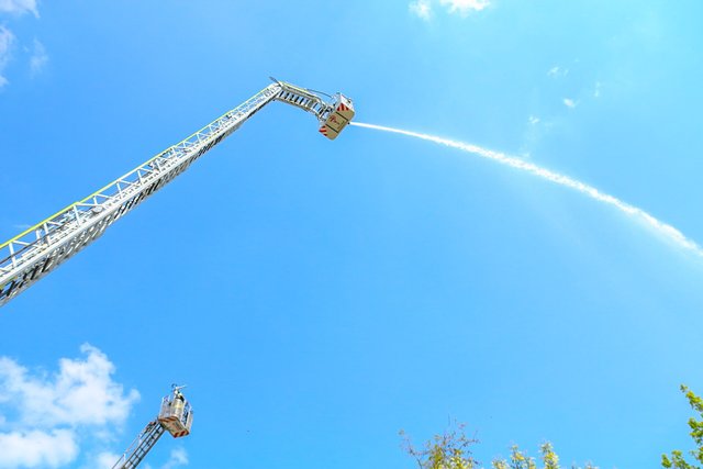 (Foto: Elija Ferrigno)