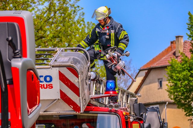 (Foto: Elija Ferrigno)