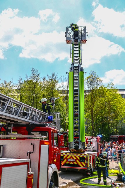 (Foto: Elija Ferrigno)