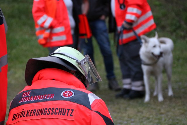 (Foto: Elija Ferrigno)