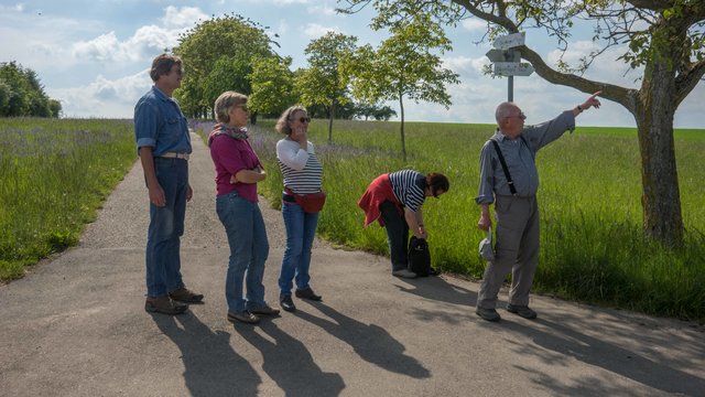 Über den Lugeberg soll im Mittelalter ein Viehtriebweg jüdischer Viehhändler von Bruchsal über Stein nach Pforzheim geführt haben | Foto: Foto Rainer Martus