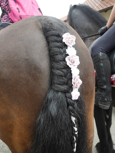 Ein schöner Rücken kann auch entzücken