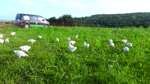 Alles Bio oder was? Erkundungstour mit dem Flehinger Landwirt Heiko Leis | Foto: Heiko Leis