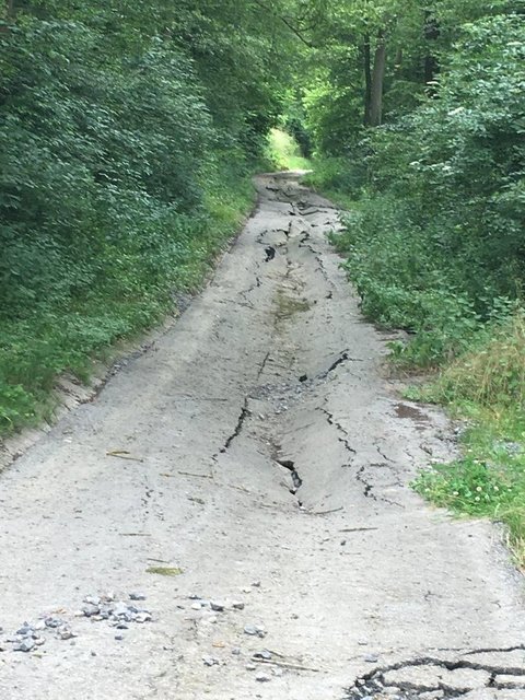 Beschädigter Waldweg: Die Decke des Waldwegs "Schöne Aussicht" war durch die Fluten eingebrochen. | Foto: Gemeinde Ölbronn-Dürrn