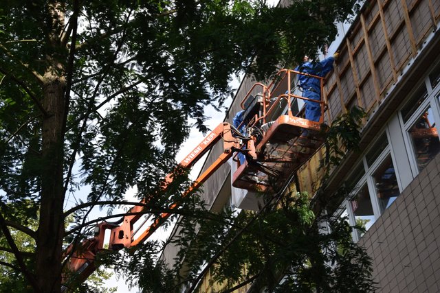 Vorsichtsmaßnahmen: Zum Schutz ihrer Gesundheit tragen die Arbeiter auf der Hebebühne Atemmasken. | Foto: ch