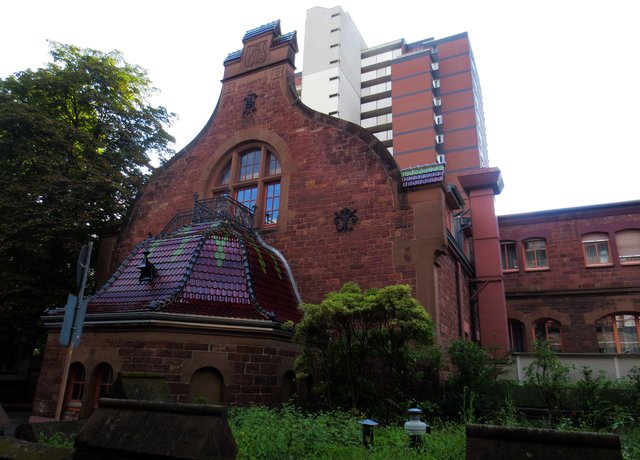 Foto: Jennifer Warzecha