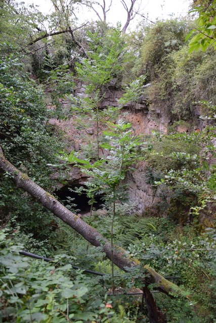 Wegen der wild wuchernden Natur ist die Höhle am Grund des alten Eisinger Lochs derzeit kaum erkennbar. | Foto: ch