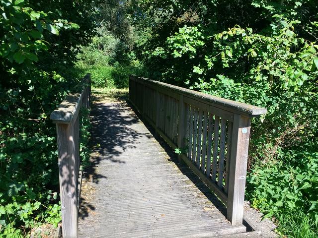 Holzsteg über den Walzbach