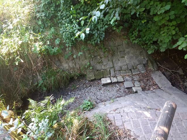 Erlachquelle ohne Herz und ohne Wasser