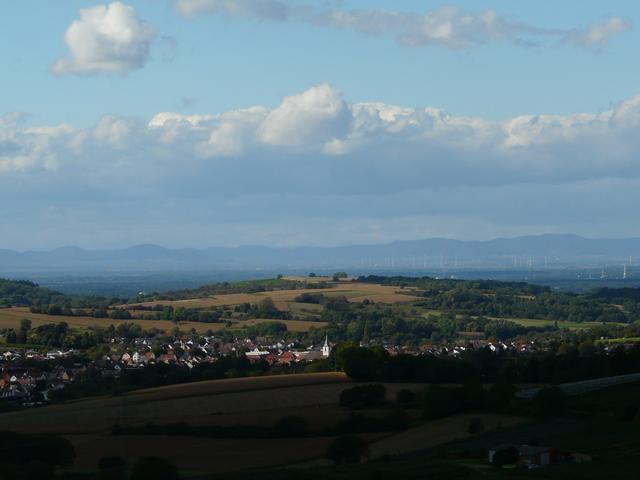 Vom Turm über Jöhlingen zum Pfälzer Wald