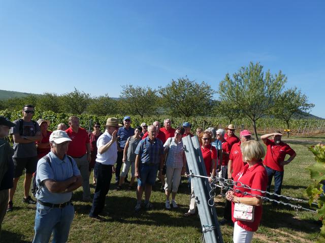 Erklärungen durch Institutsleiter Prof. Dr. Töpfer | Foto: P. Siech, OGV