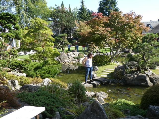 Der tolle Garte  | Foto: A. Schell, OGV