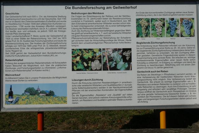 Geschichte des Geilweilerhofs | Foto: P. Siech, OGV