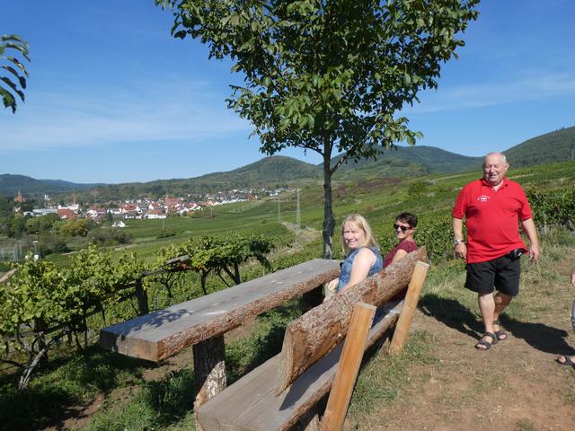 Blick vom Weinlehrpfad ins Tal | Foto: P. Siech, OGV