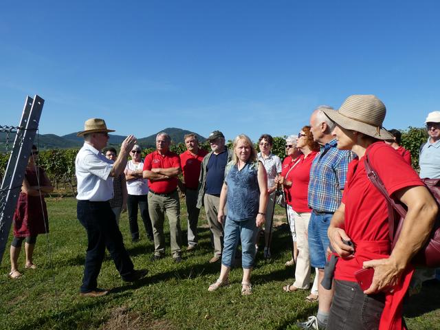Veranschaulichung durch Institutsleiter Prof.Dr.Töpfer | Foto: P. Siech, OGV
