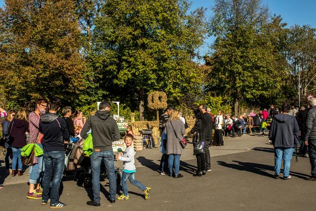 Foto: Lothar Schmitt