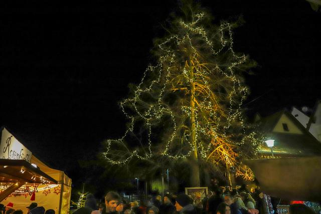 Foto: Fabian Geier / ER24