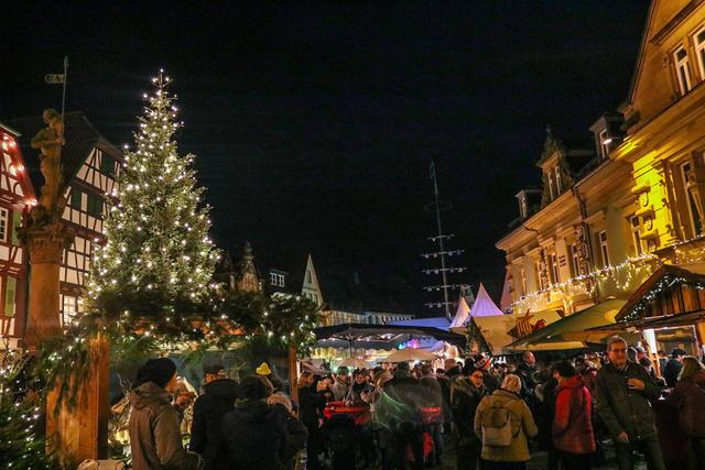 Foto: Elija Ferrigno / ER24