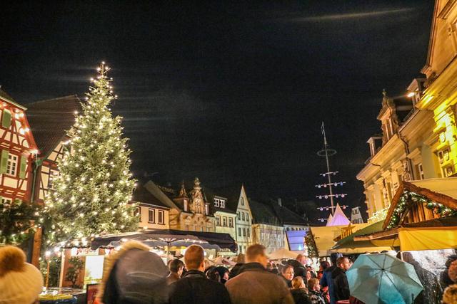 Foto: Elija Ferrigno / ER24