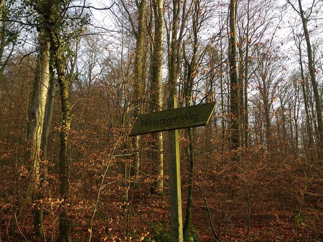 Am Urwald entlang