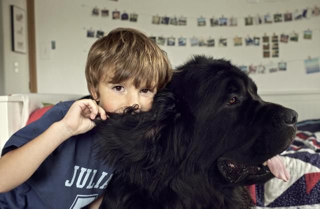 Foto: Purina/akz-o