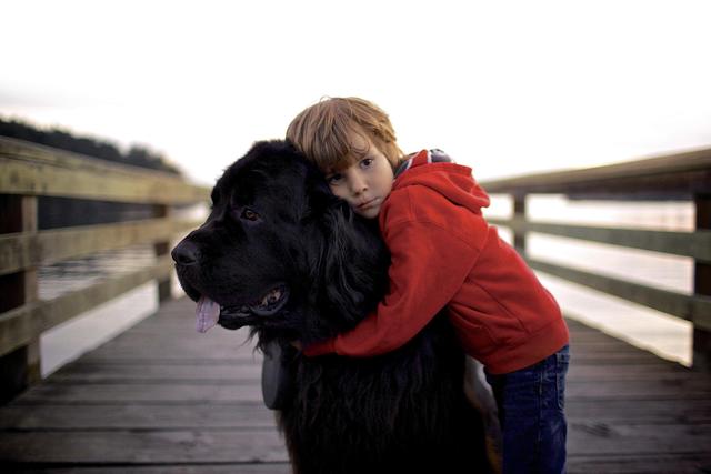 Foto: Purina/akz-o