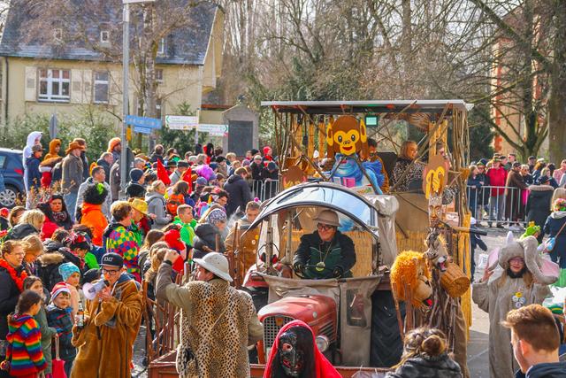 Foto: Elija Ferrigno / ER24