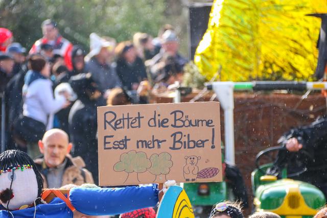 Foto: Elija Ferrigno / ER24