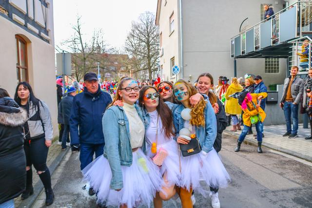 Foto: Elija Ferrigno / ER24