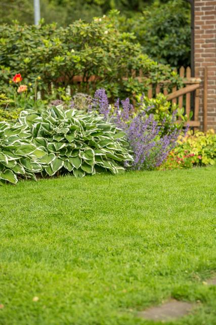 Antworten rund um Rasen, Beete und Co. gibt es bei den Gartenexpertinnen und -experten am Lesertelefon. Foto: Neudorff