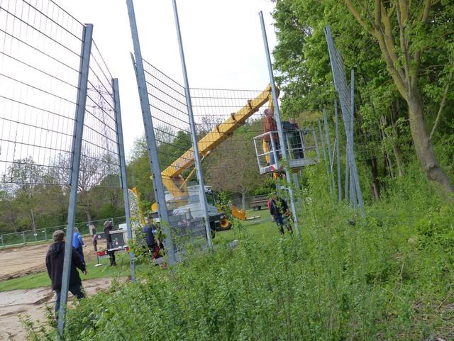 3. Mai 2019: Abbau des Ballfangzauns in Eigenarbeit.
 | Foto: Gerhard Rinderspacher