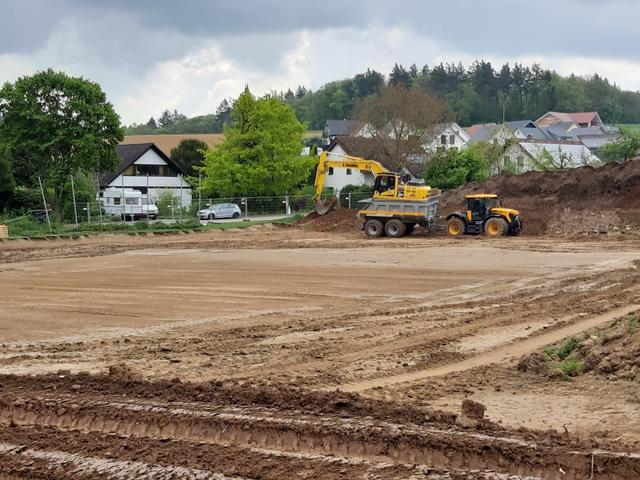6. Mai 2019: Der Rasen lichtet sich.
 | Foto: Gerhard Rinderspacher