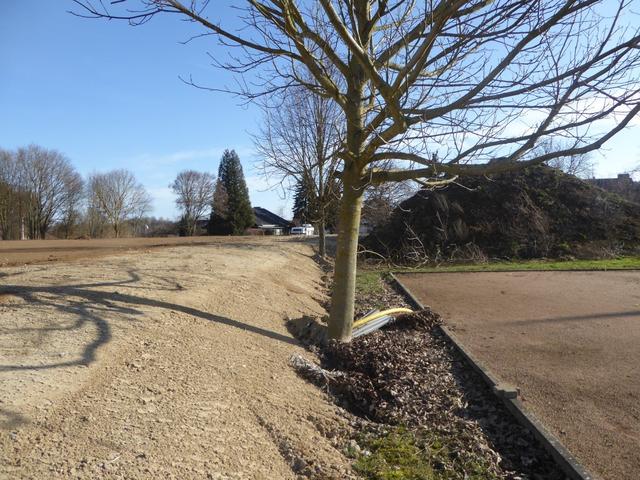 9. Februar 2020: Böschung an der Südseite.
 | Foto: Gerhard Rinderspacher