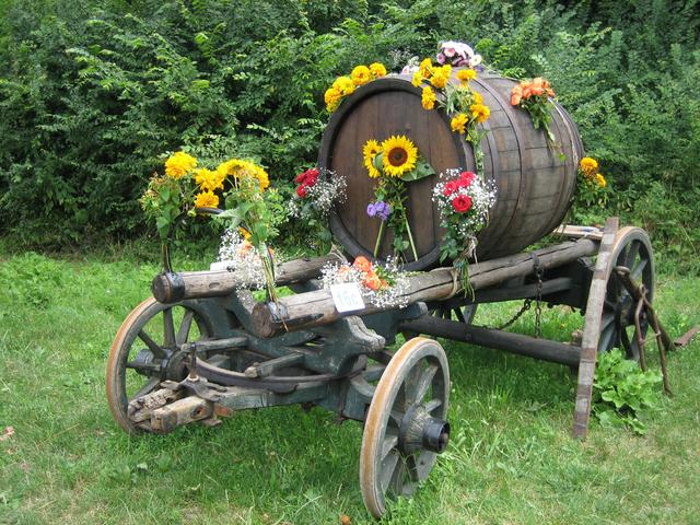 Foto: Archiv/Privat