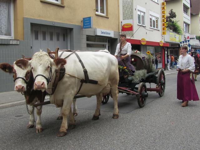 Foto: Archiv/Privat
