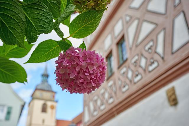 Foto: djd/Kraichgau-Stromberg Tourismus e.V./www.ch-ernst.de