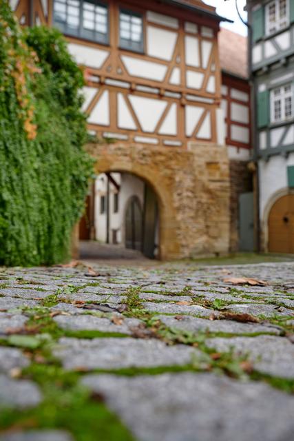 Foto: djd/Kraichgau-Stromberg Tourismus e.V./www.ch-ernst.de