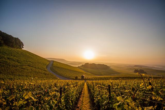 Foto: djd/Kraichgau-Stromberg Tourismus e.V./C. Götze