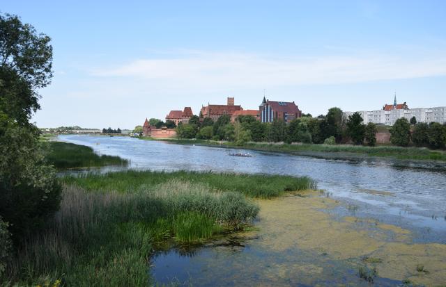 Grandioses Panorama: Die Marienburg liegt heute in unmittelbarer Nachbarschaft moderner Wohnbauten in der ehemaligen Altstadt Malborks. | Foto: ch