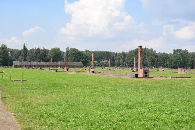 Kamine der ehemaligen Häftlingsbaracken: Auf der Flucht vor der herannahenden Roten Armee haben abrückende SS-Wachleute eine Großzahl der Unterkünfte im damaligen KZ  Auschwitz-Birkenau gesprengt. | Foto: ch