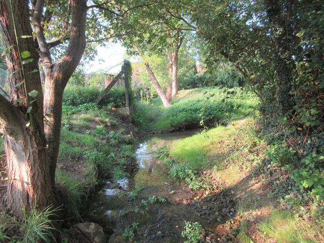 Nur der Gölshäuser Dorfbach führt derzeit Wasser. Der Kreuzgraben ist nach drei trockenen Jahren kaum noch zu erkennen. 