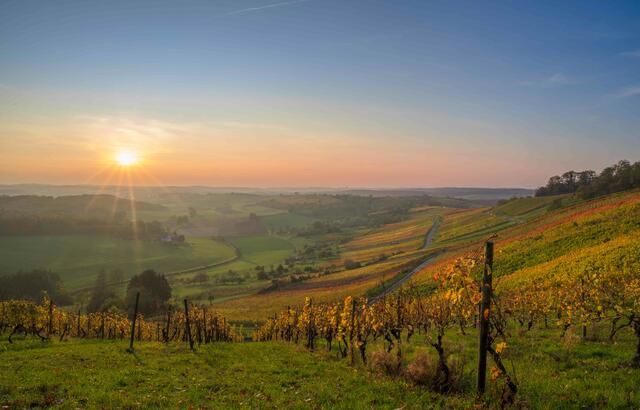 Weinlandschaft am Derdinger Horn bei Oberderdingen. | Foto: Kraichgau-Stromberg Tourismus e.V., Niels Dick