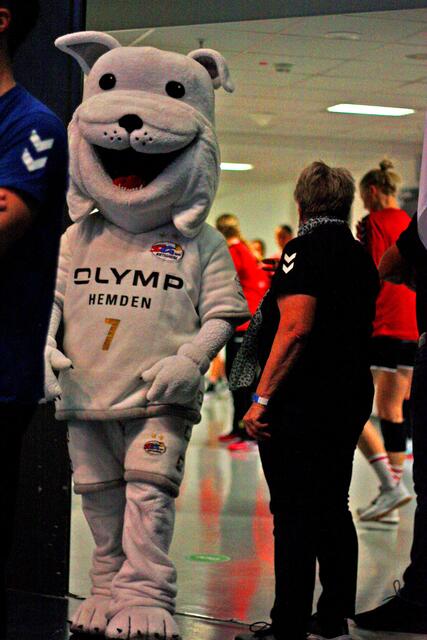 Maskottchen der SG BBM Bietigheim
FotoArchiv Merkel+Merkel