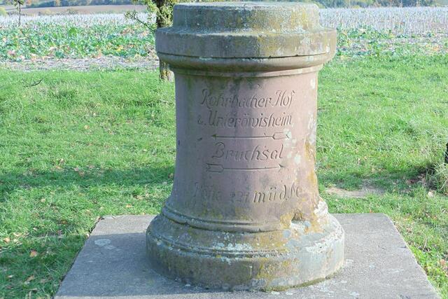 Eisenhut Bruchsal | Foto: W.Binder