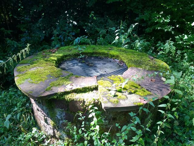 schon die Römer nutzten ihn | Foto: W.Binder