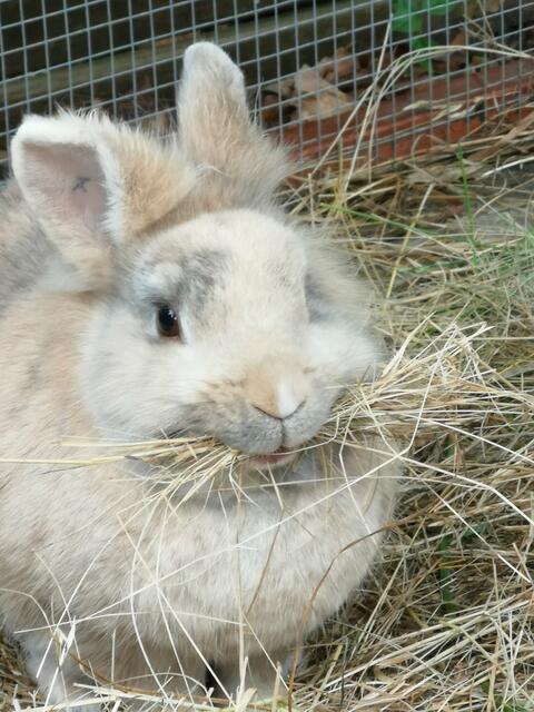 Sommerpause von Christine Knaus