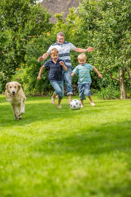 Den Garten auf Vordermann bringen und den Rasen richtig pflegen. Foto: Neudorff