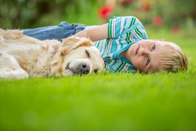 Den Garten auf Vordermann bringen und den Rasen richtig pflegen. Foto: Neudorff