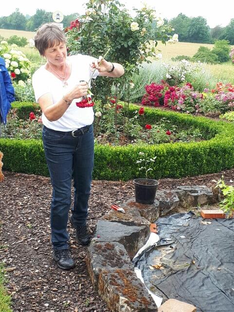 Zu Gast bei der Rosenzüchterin Frau Hofmann | Foto: privat